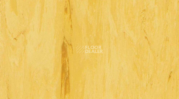 Линолеум Classic Imperial 2mm 0109 SUN фото 1 | FLOORDEALER